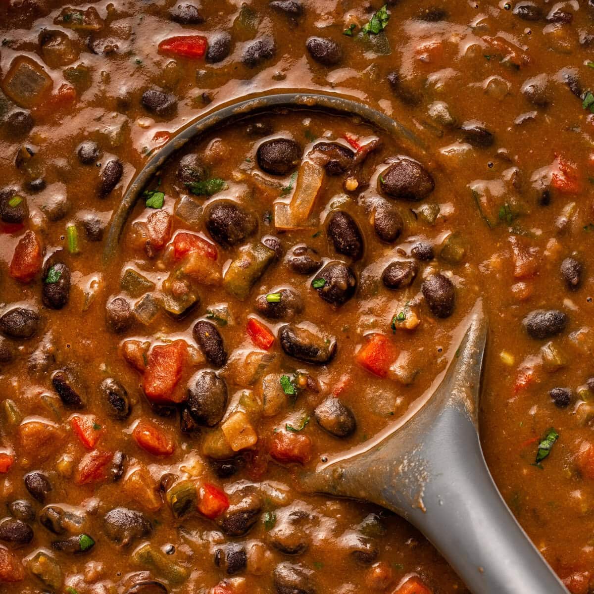 Cozy Vegan Black Bean Stew: Bold Latin Flavors & Gluten-Free